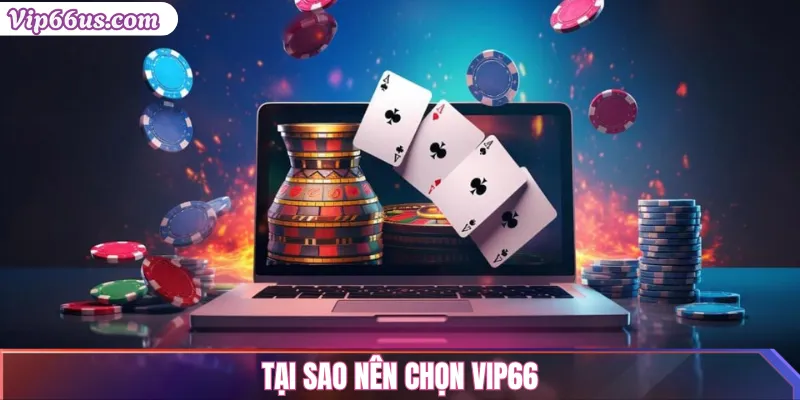 Casino VIP66: Sòng bài trực tuyến với dealer chuyên nghiệp 3 Tại sao nên chọn VIP66