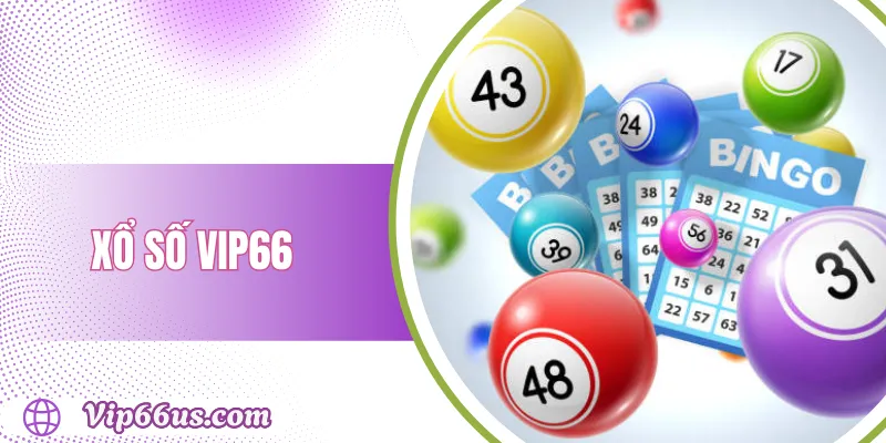 Xổ Số VIP66: Hướng Dẫn Chơi, Tỷ Lệ Trúng Thưởng 2025 1 Xổ Số VIP66